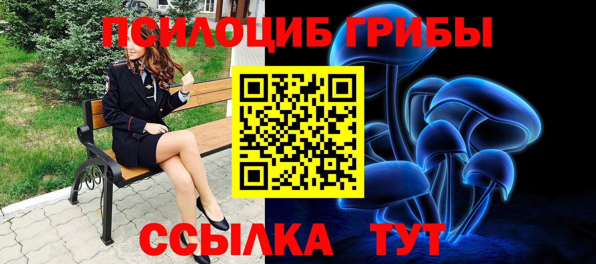 Галлюциногенные грибы GOLDEN TEACHER  Вход с VPN  как найти закладки  Березники 